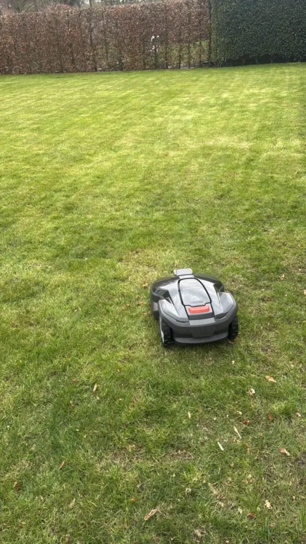 Mähroboter-Installation: Fertig: Der Mähroboter mäht